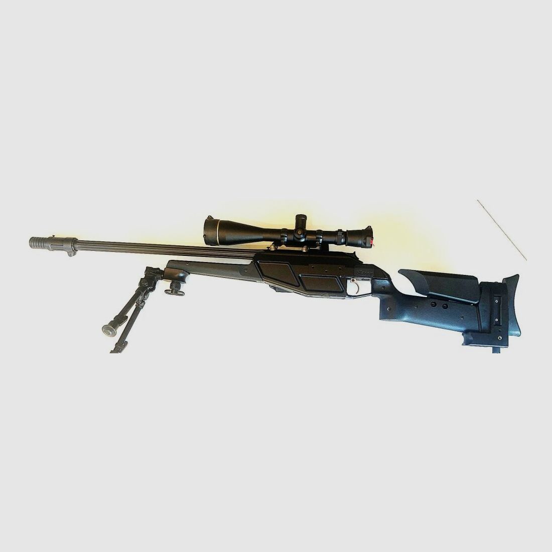 Blaser R93 Tactical (CISM)