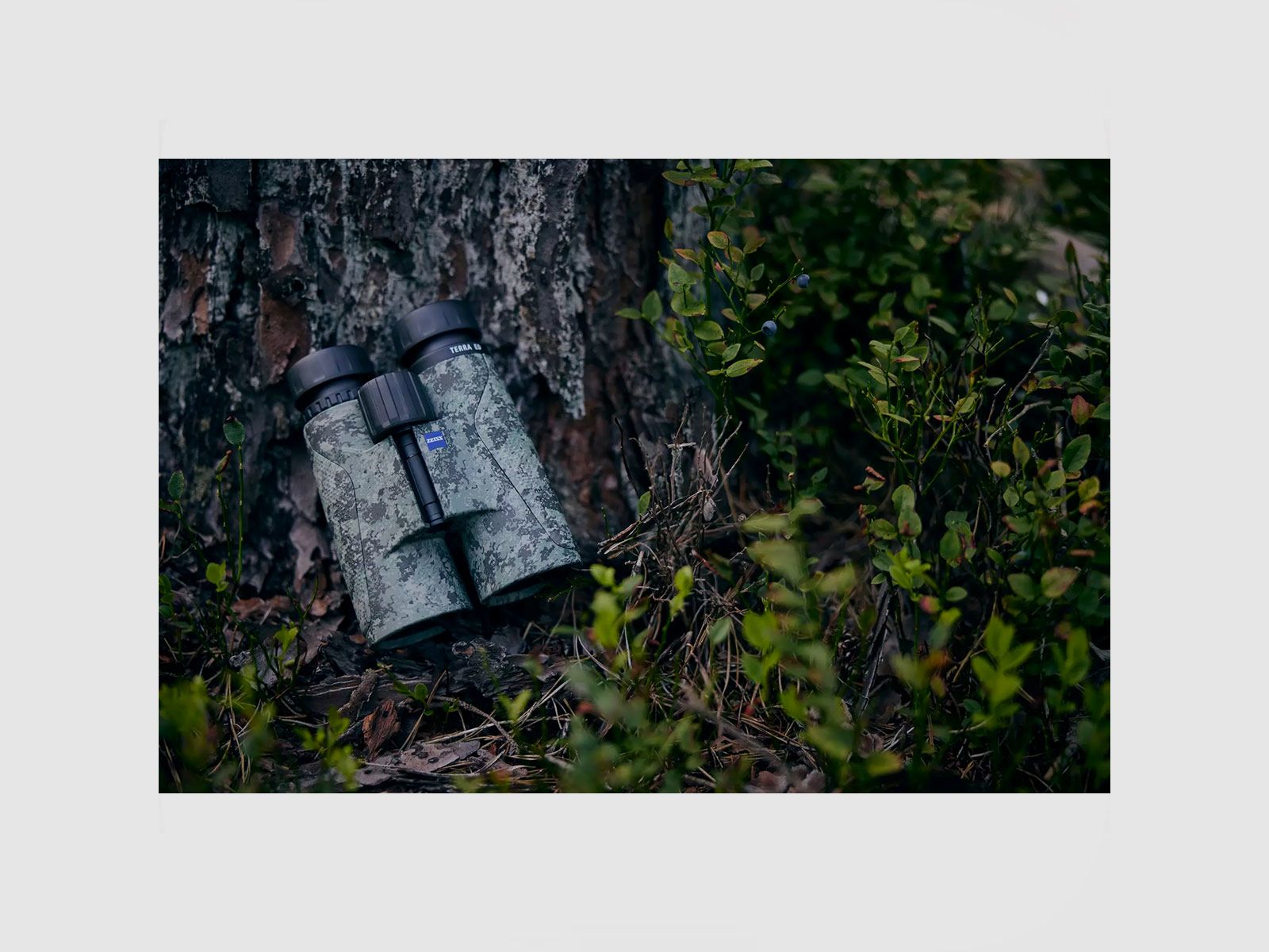 ZEISS – FERNGLAS TERRA ED 8×42 Camo Limited Edition, Bild 5 von 5