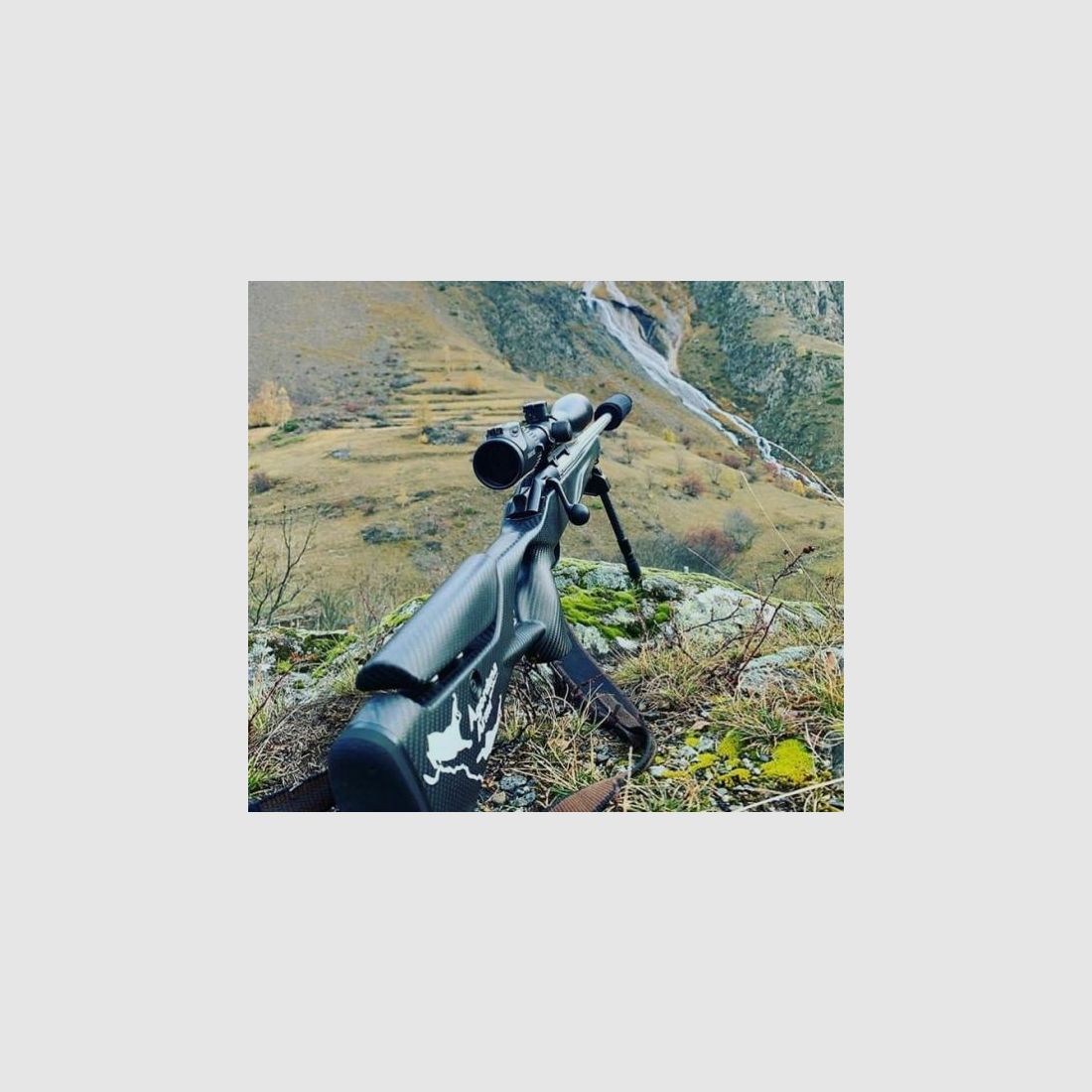RAVEN euro System mit Schäftung Professional Success Carbon f. Blaser R8