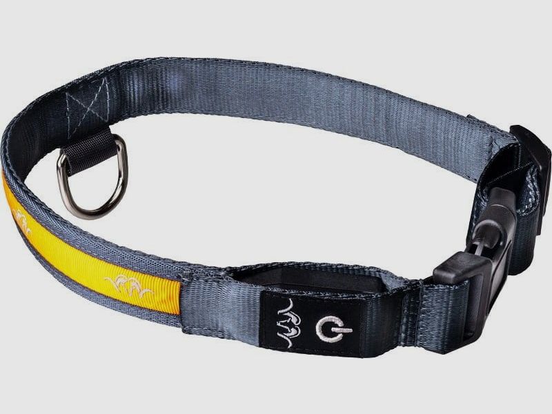 Blaser LED Hundehalsband