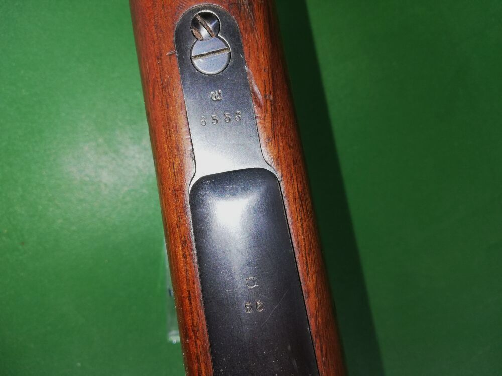 Brasilienmauser 1908