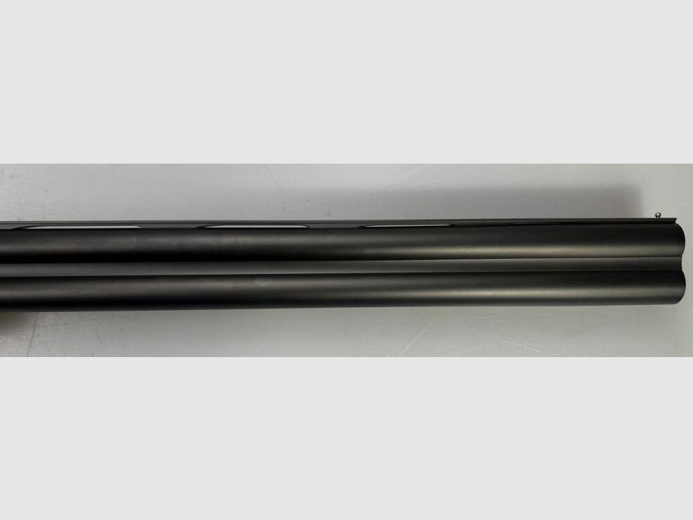 Blaser F16 Game