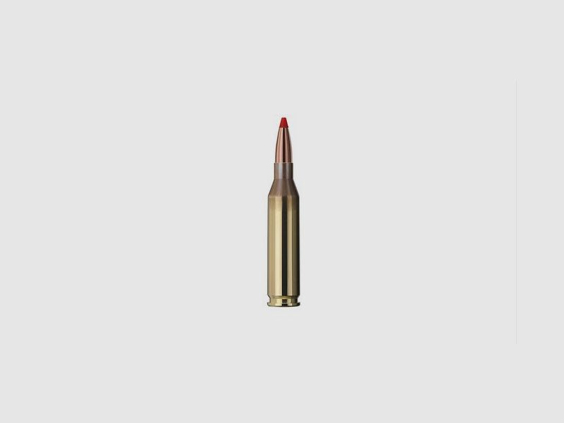 GECO Express .243 Win. TM 4,9g 76gr