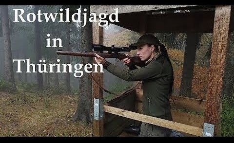 Jagd auf Rotwild in Thüringen