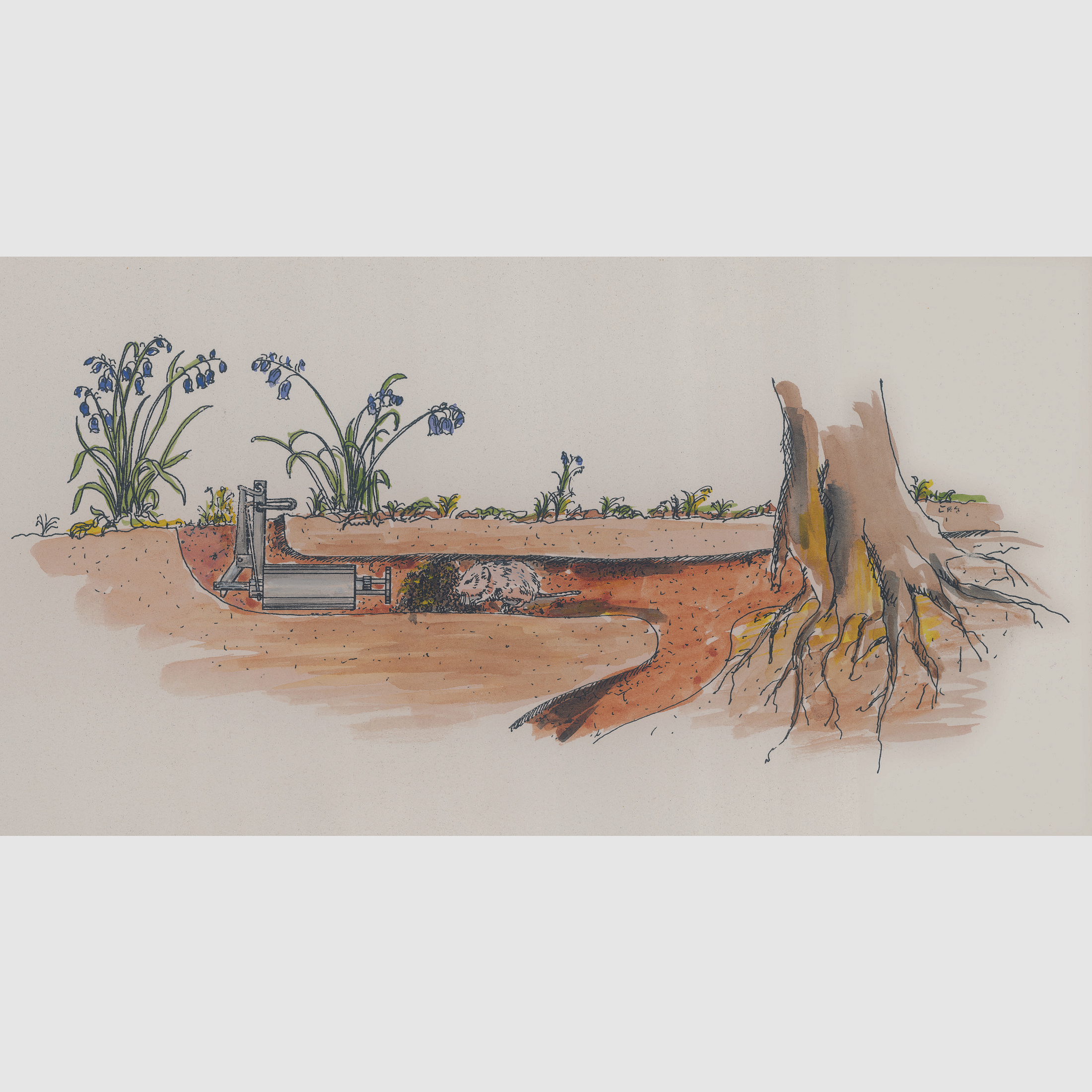 Complete set of self-triggering mole traps Mod. W2