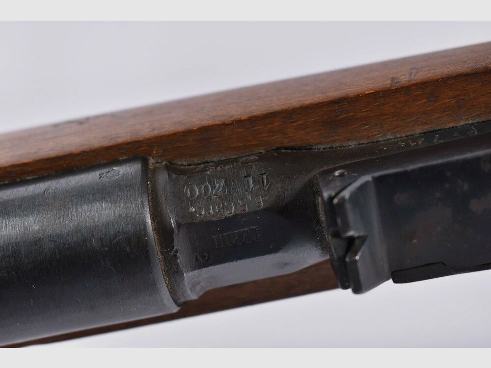 Terni M1891-1924