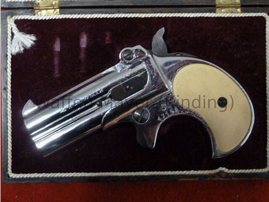 Röhm- Derringer	 RG15