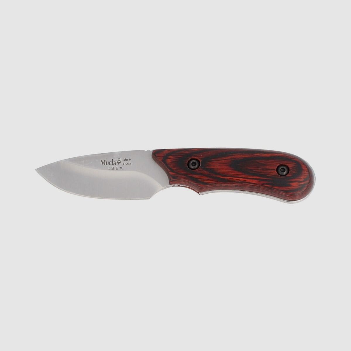 Nóż Muela Skinner Pakkawood 75mm (IBEX-8R), zdjęcie 2 z 3