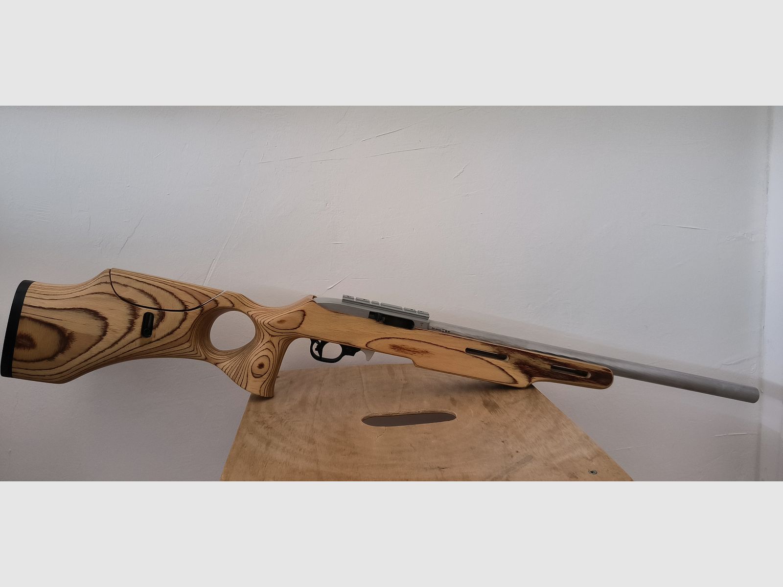 Ruger 10/22