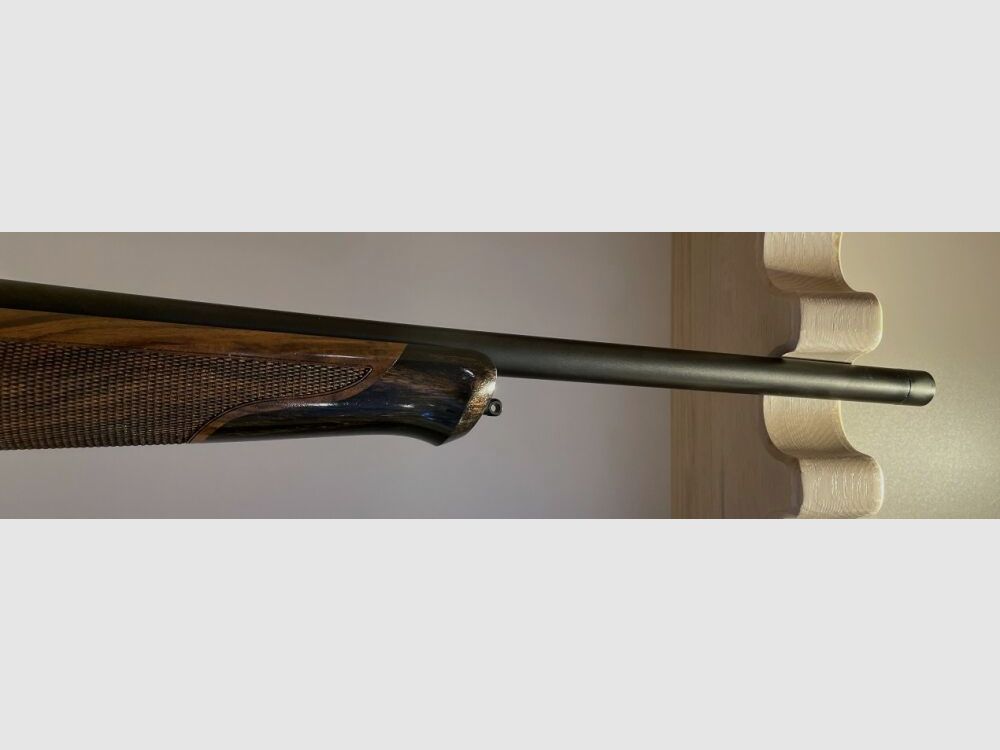 BLASER R8 SUCCESS (HOLZKLASSE 4+)