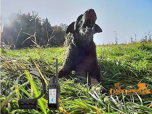 Alpha 200i K