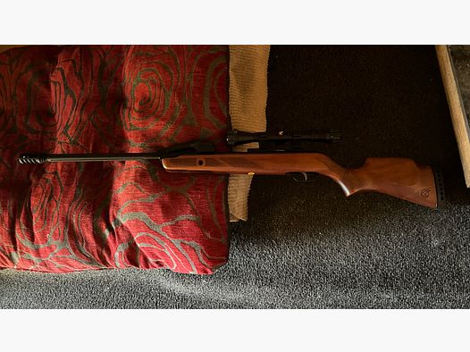 Diana LP8 und Gamo Luftgewehr