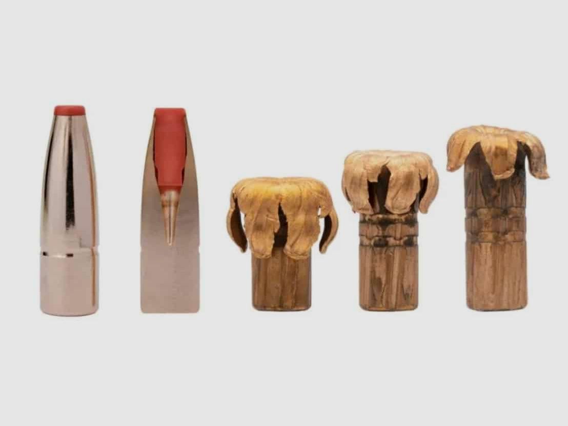 9.3×63 Hornady International ECX 250grs., Bild 2 von 2