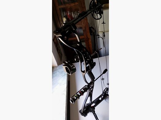DRAKE Pathfinder  40-65 lbs - Compoundbogen