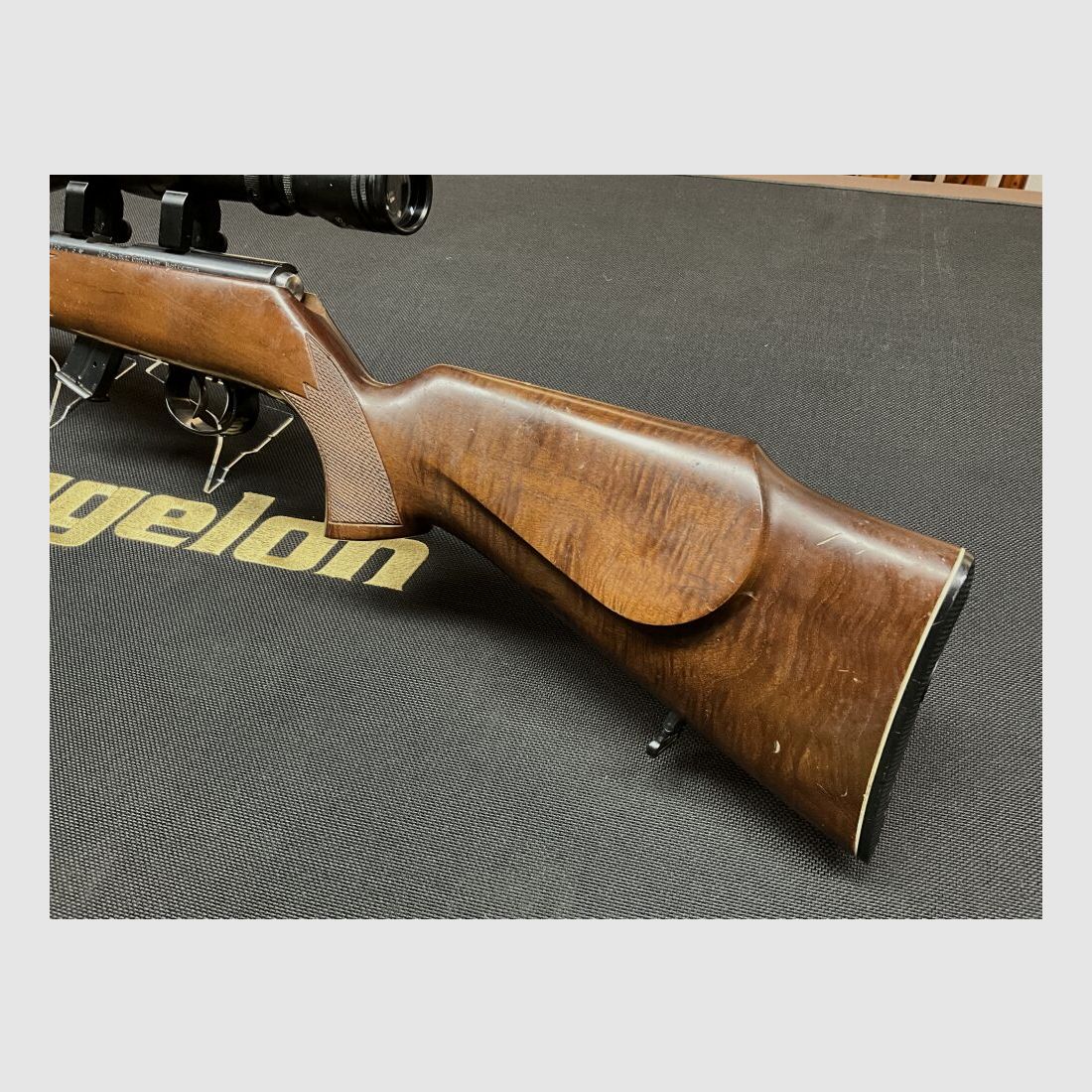 Anschütz .22lr