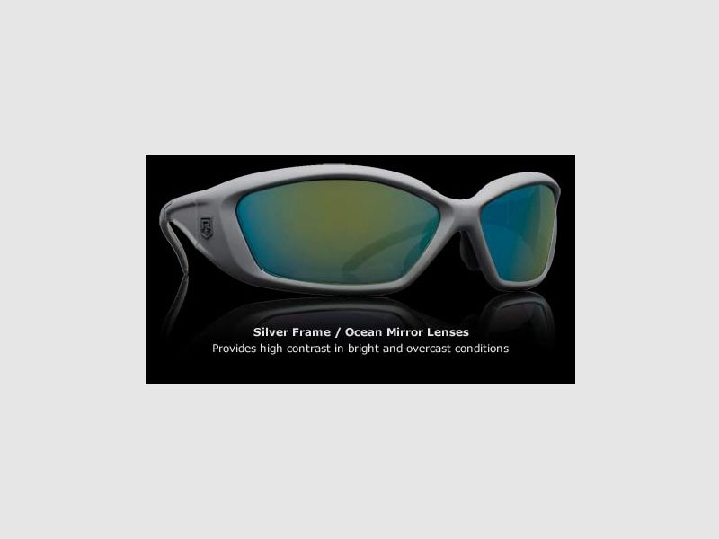 Revision Military Eyewear HELLFLY Taktische Schutzbrille