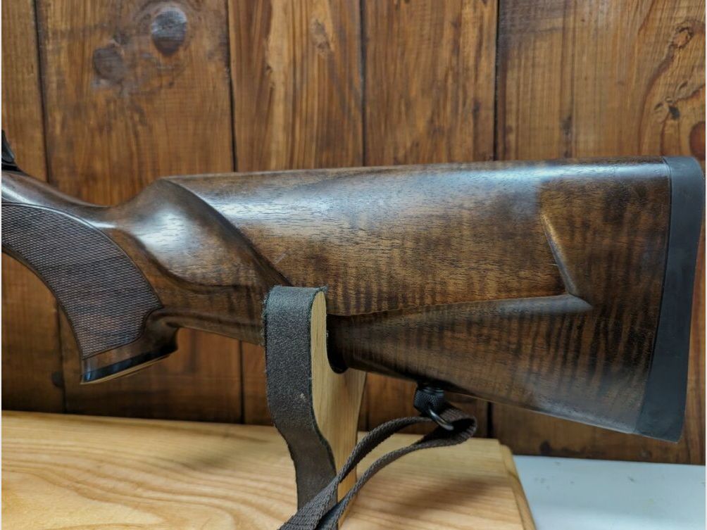 Sauer	 404