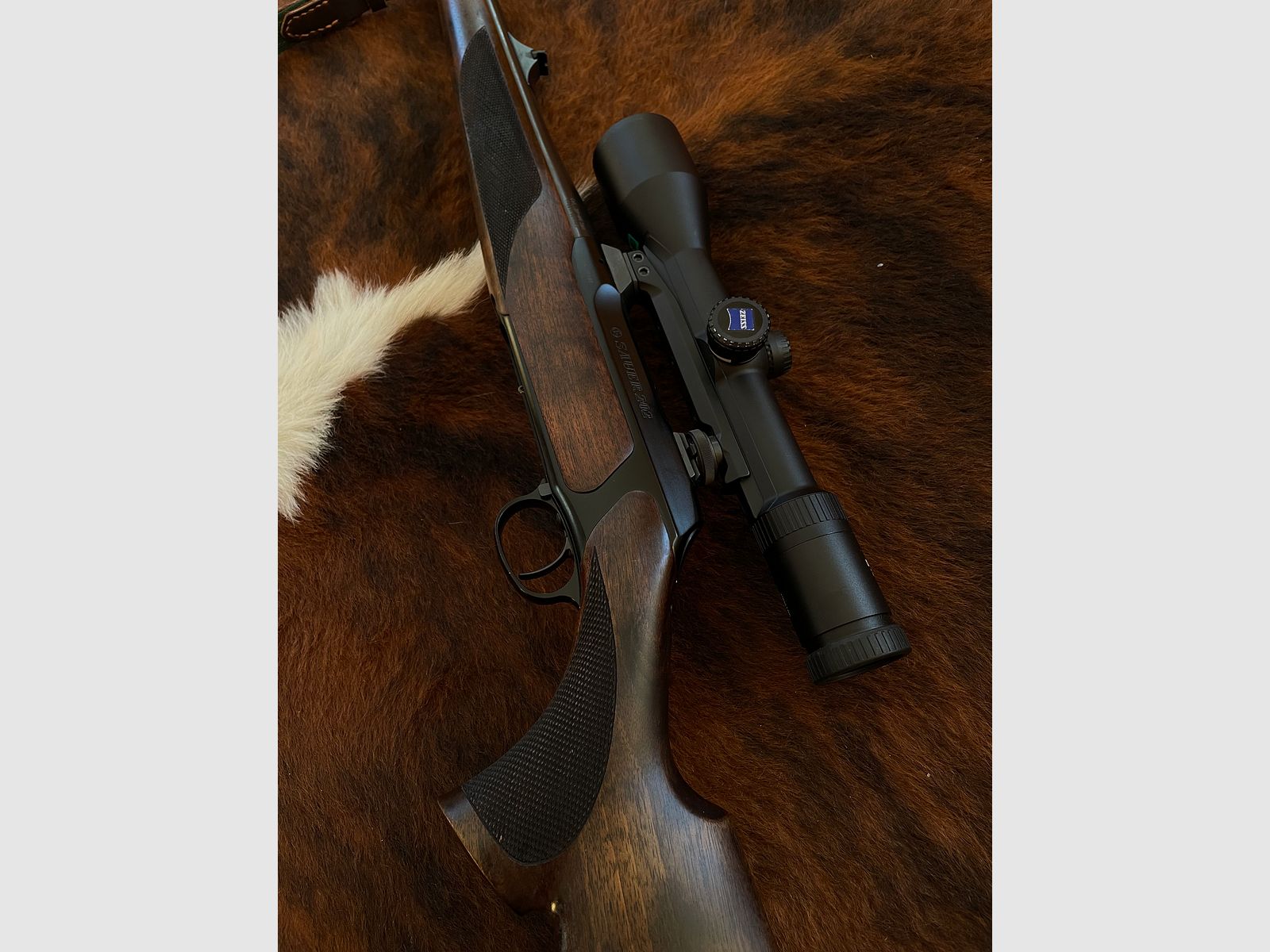 Sauer 202 | Cal. .30-06 | Zeiss Diavari 2,5-10x50 (point lumineux)