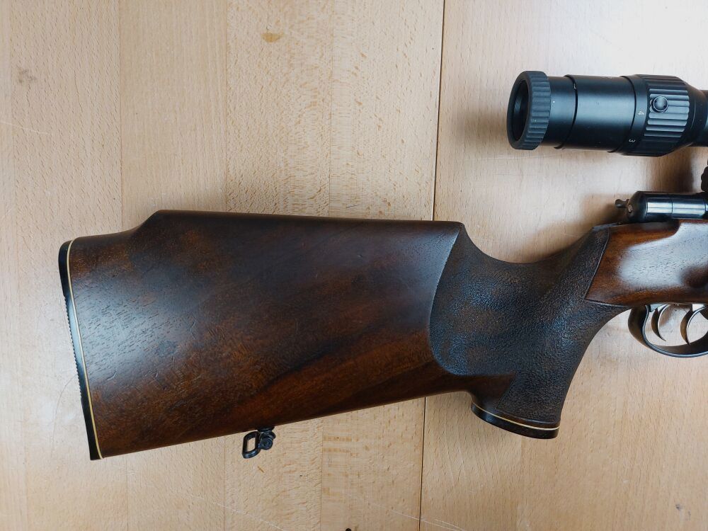 Anschütz, Ulm DJV Match de Chasse