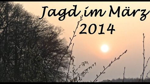 Jagd März 2014