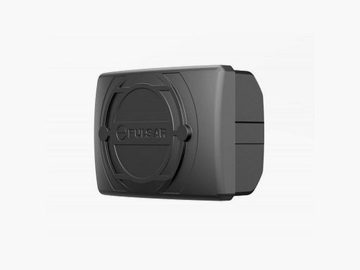 COMPARTIMENT PILES BPS 3X LR06/AA PULSAR