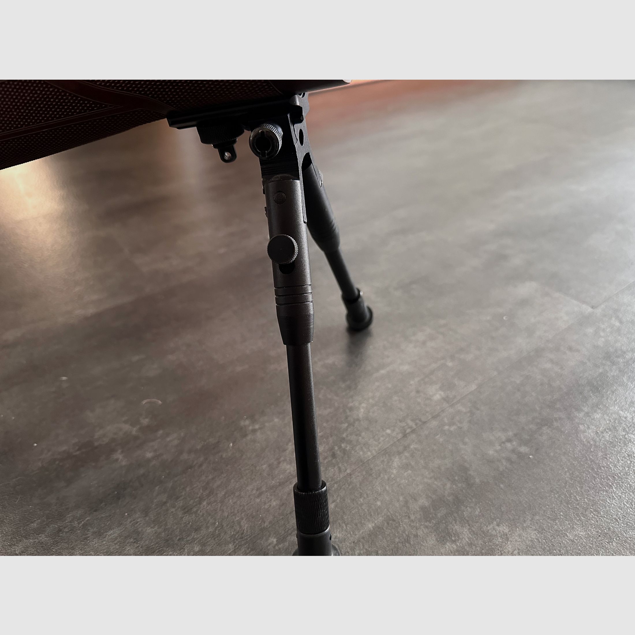 Walther Rotex RM8 4,5mm inkl. Bipod und Visier