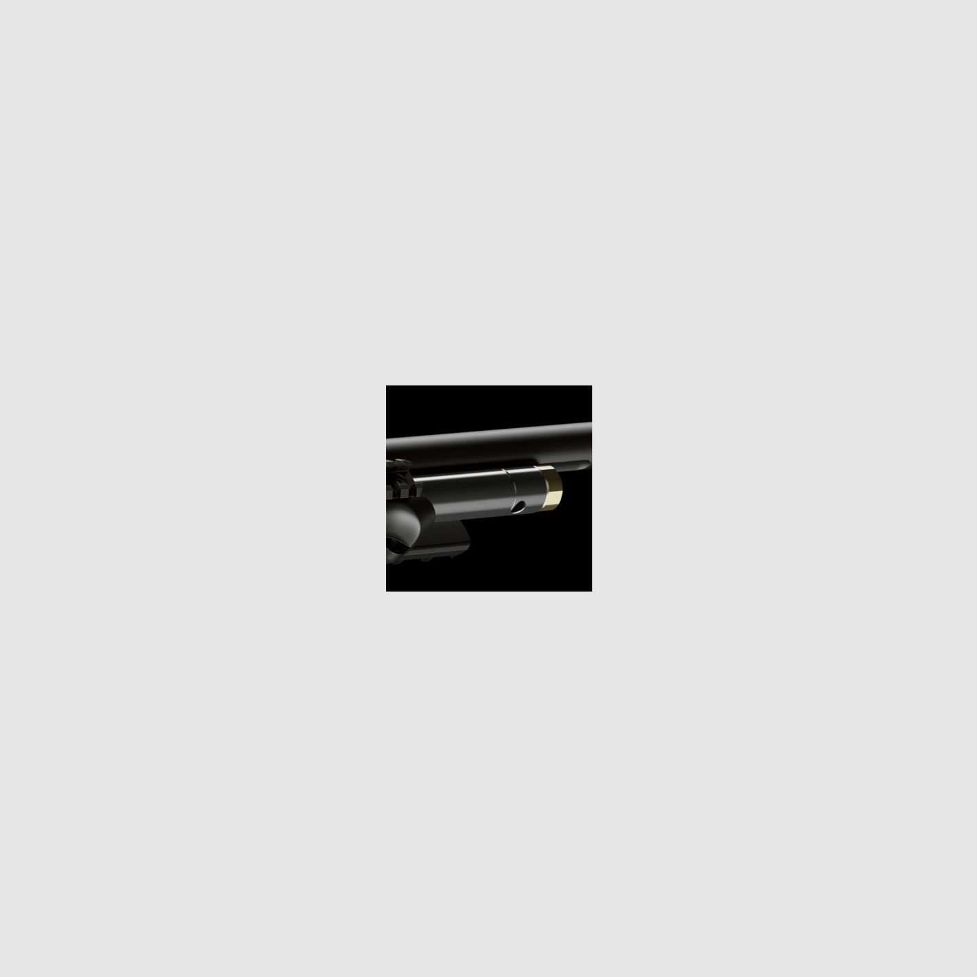 Stoeger XM1 Cal. 4,5mm, image 11 sur 12