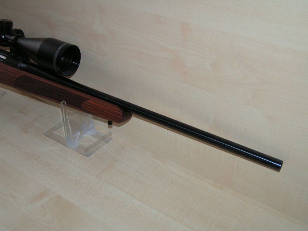 Steel Action HM
