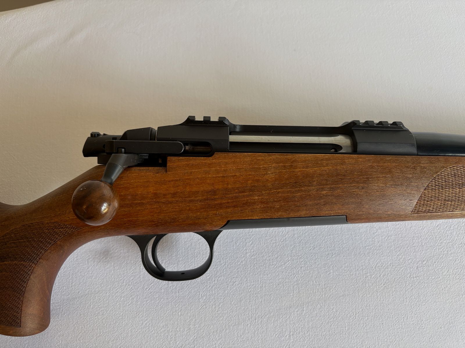 Action en acier HM Calibre .30-06 Springfield – avec 2 chargeurs