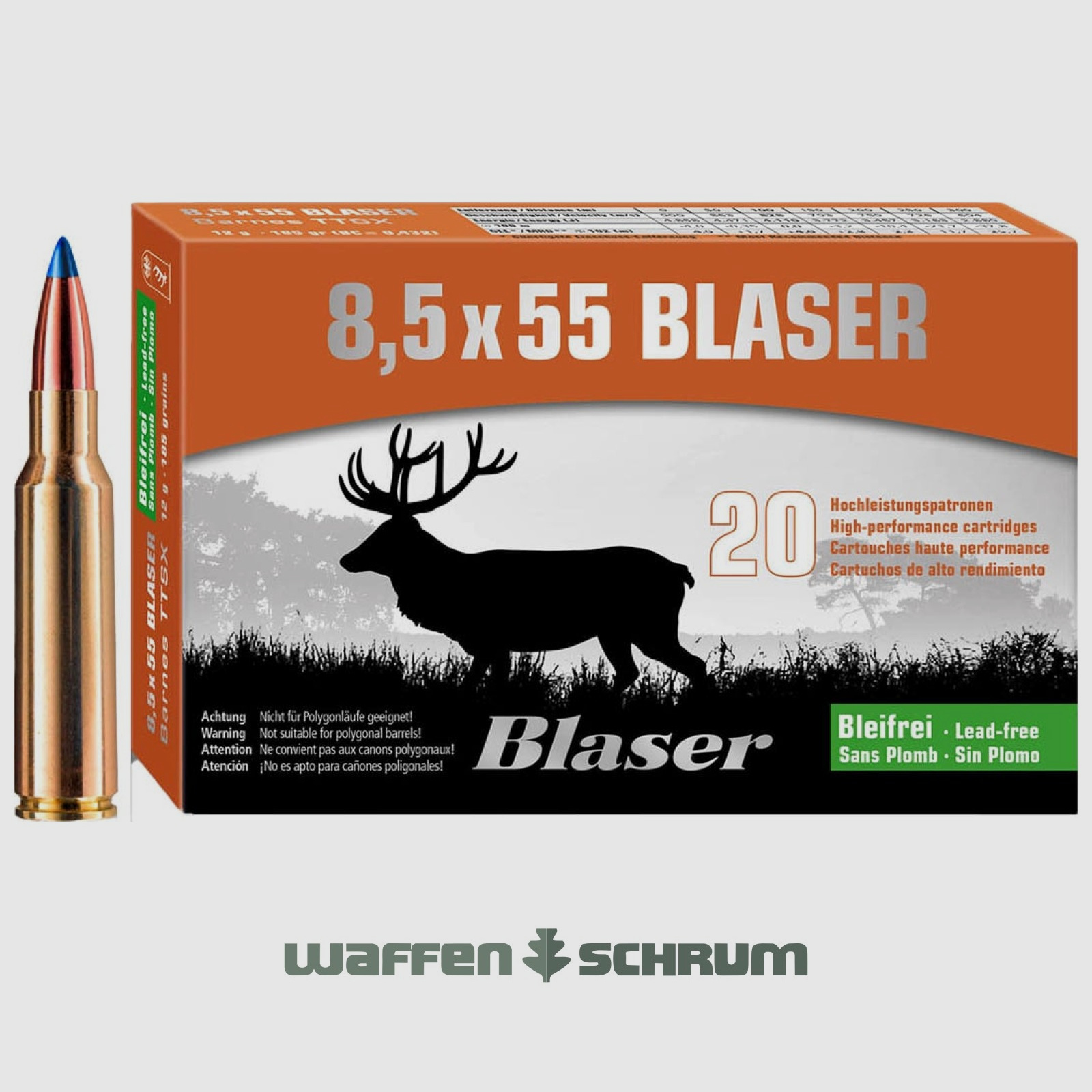 Blaser Barnes TTSX 10.4g - 160gr 8.5x55Blaser