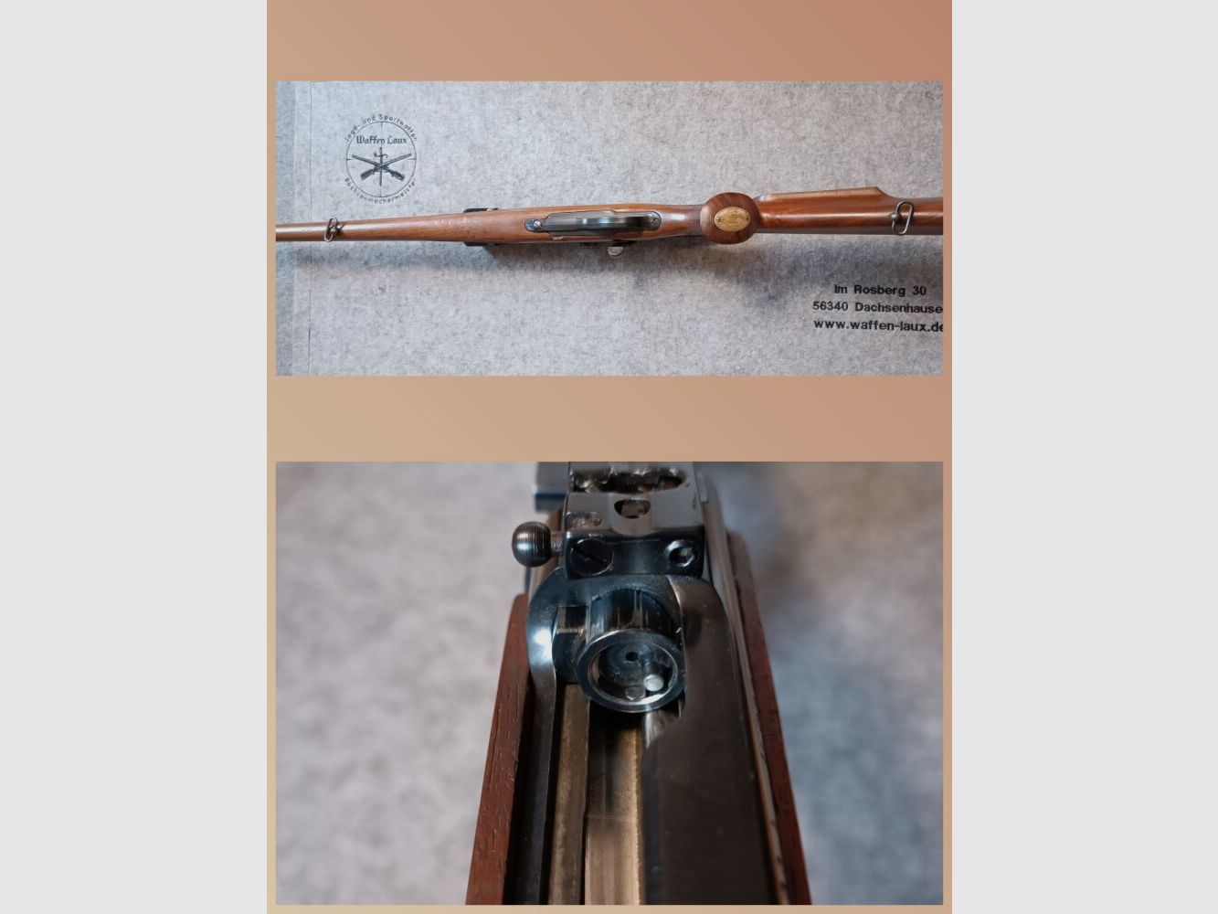 Remington Arms Mod. Mohawk - 600 mit ZF Bushnell 4-12x40 Stutzen