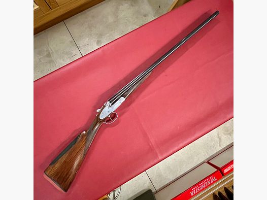 Franchi Albatros