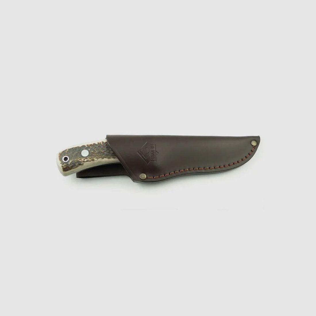 PUMA IP montero, cervo