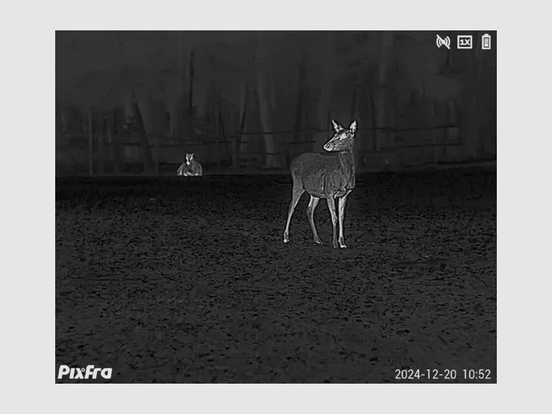 Pixfra Wärmebildmonokular Sirius S650D