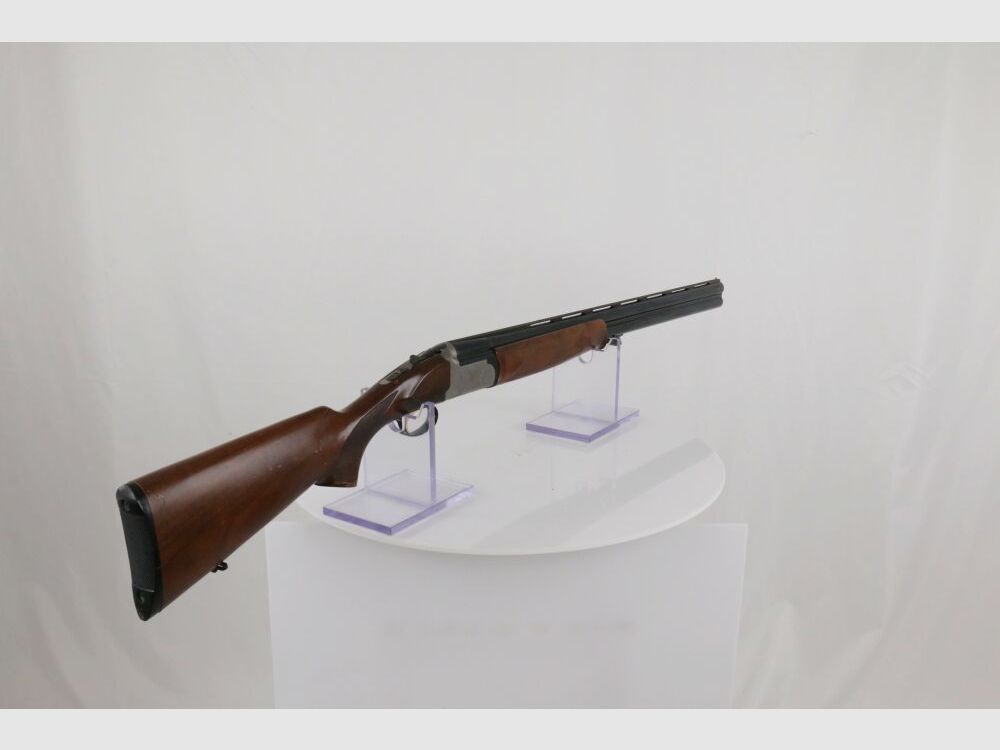 INC Bersciani BDF