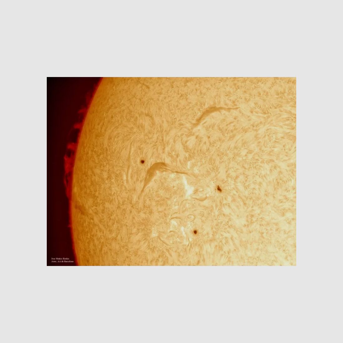 Filtre solaire H-Alpha LUNT LS100FHa/B1200d2, image 2 sur 13