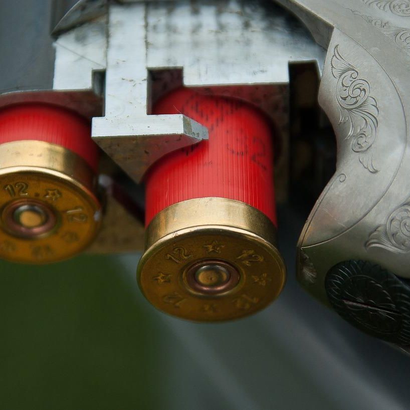 Lead-free shotgun hunting without steel shot shooting