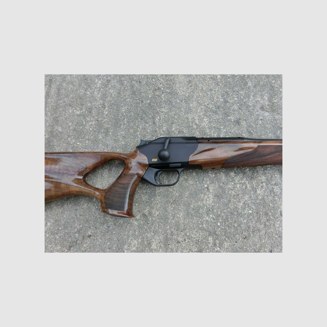 Blaser	 R8 Success