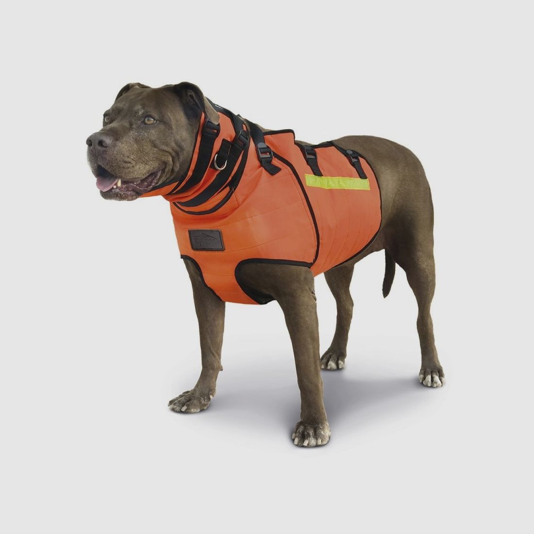 Chaleco ÉLITE Bulwark - kleine Rassen, Bild 5 von 39
