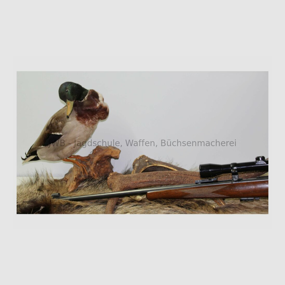 Anschütz 1400 .22lr