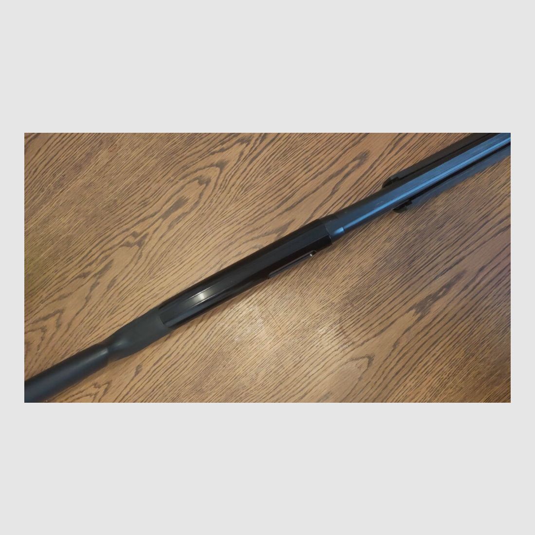 Winchester 1300 Giovane