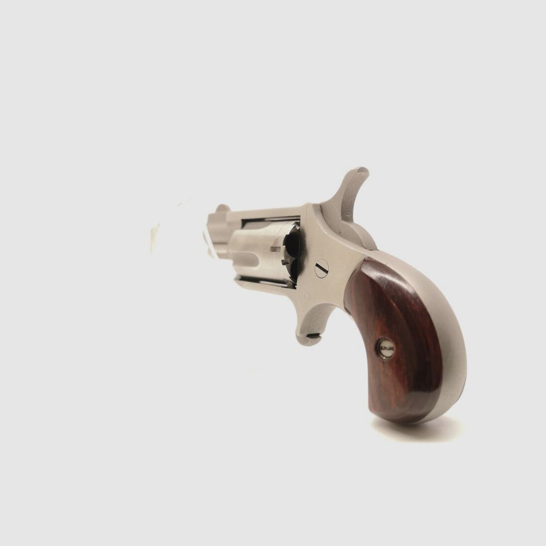 NAA 22LLR, image 4 of 10