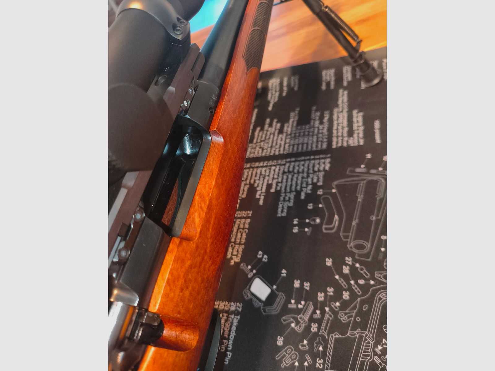 CZ 557 RANGER(R) in .308 WIN komplett mit GPO SPECTRA und DENTLER