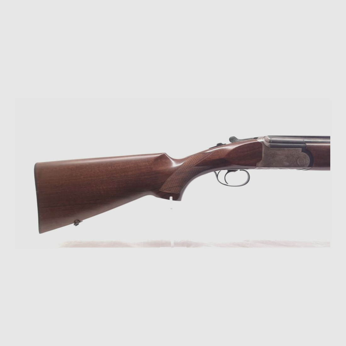 Rizzini AT 605