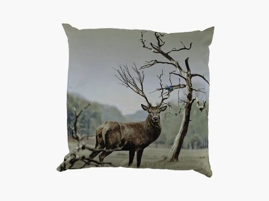 EWA-KISSEN – HIRSCH 2