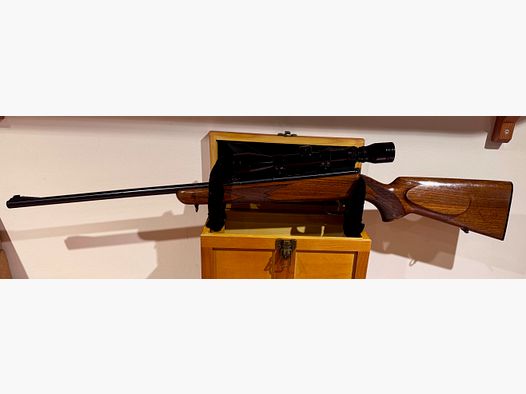 🎯 Calibro .22lr preciso: Anschütz con telescopio Bushmaster