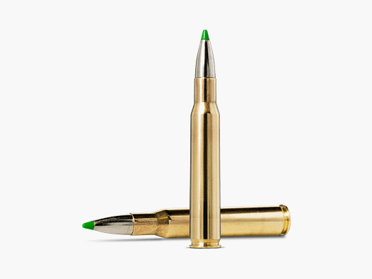 Norma .30-06 ECOSTRIKE 9,7 g 150 gr - 20 pcs