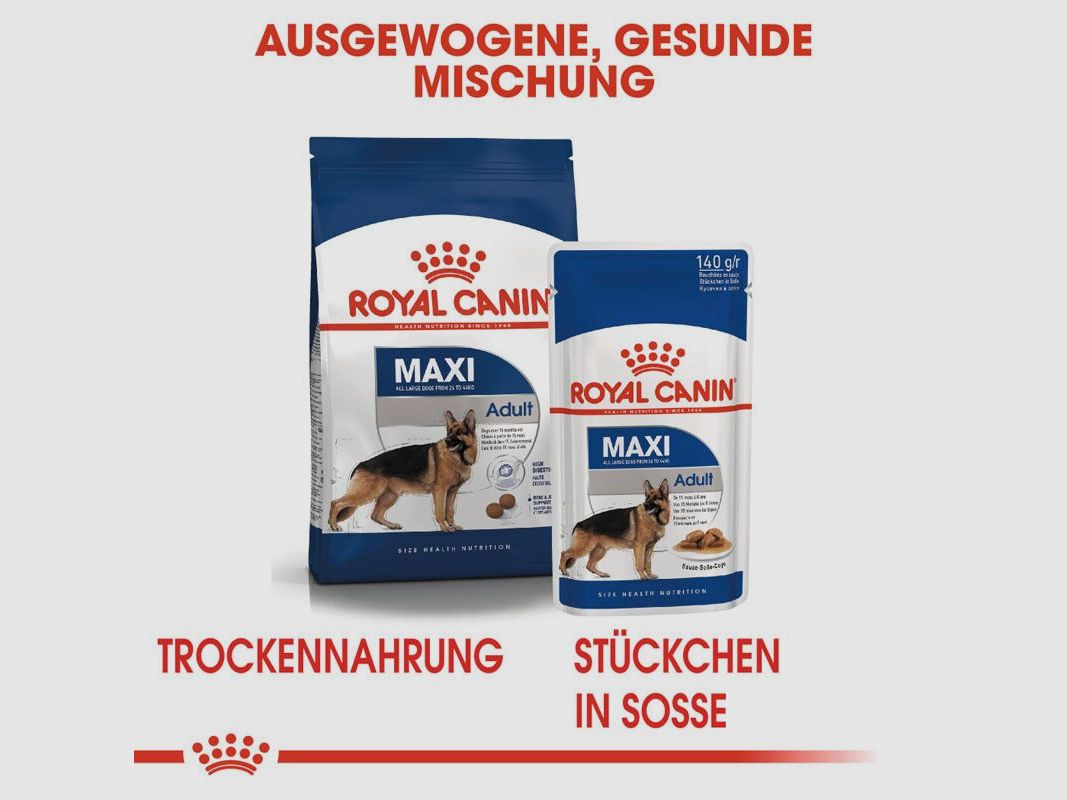 ROYAL CANIN Große Hunde Nassfutter Maxi Adult 10x140 g