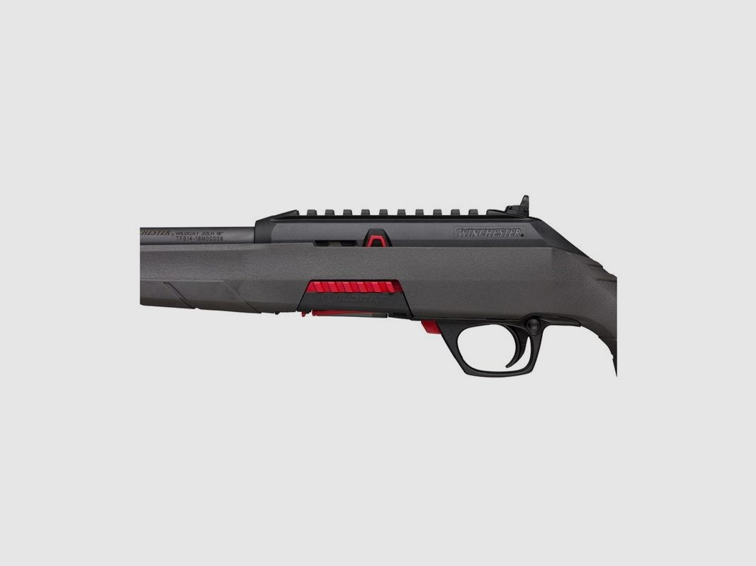 Carabina Winchester Wildcat Composite, immagine 5 di 7