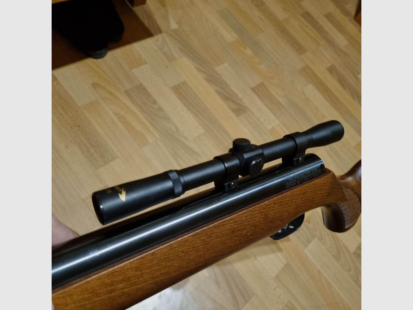 ⁵Incense HW 80 with ZF Gamo 4x20